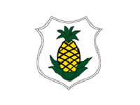 mna logo