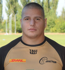 Gigi Militaru