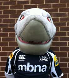 Sharky
