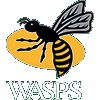 London Wasps