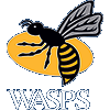 London Wasps