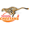 Cheetahs