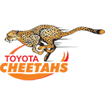 Cheetahs