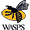 London Wasps
