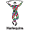 Harlequins