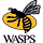 London Wasps
