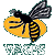 London Wasps