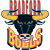 Bradford Bulls