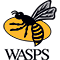 London Wasps