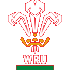 Wales U20s