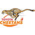 Cheetahs