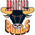 Bradford Bulls