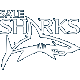 Sale Sharks