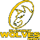 Bucharest Wolves