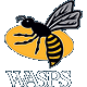 London Wasps