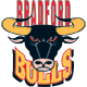Bradford Bulls