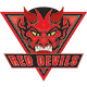 Salford City Reds