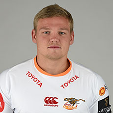 Daniel Maartens