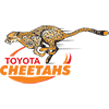 Toyota Cheetahs